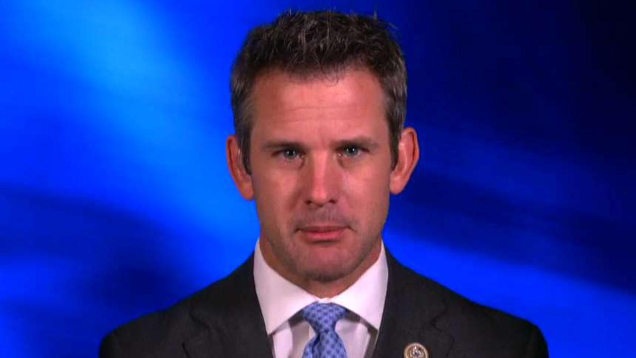 Kinzinger: Moderate Dems pressured not to work with GOP