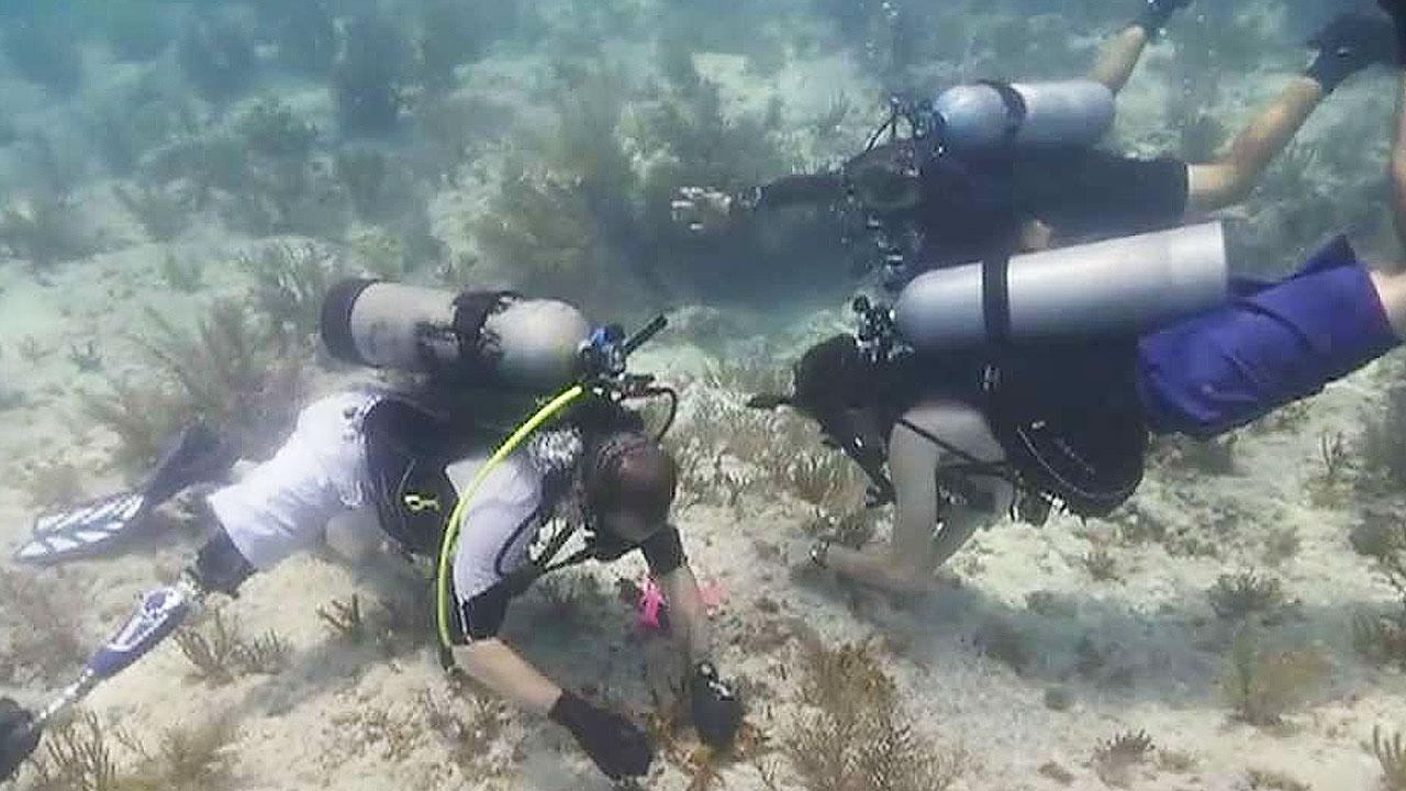 Wounded warriors helping rebuild Florida's coral reefs