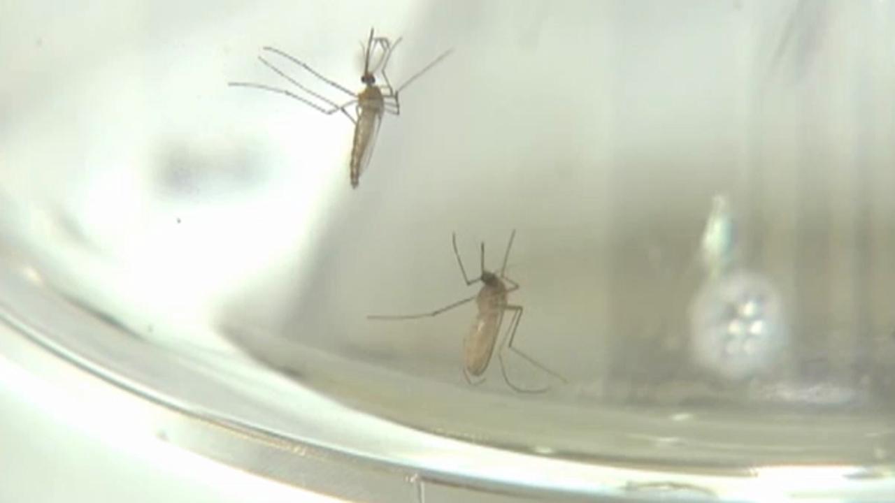 New case of West Nile virus in Mississippi