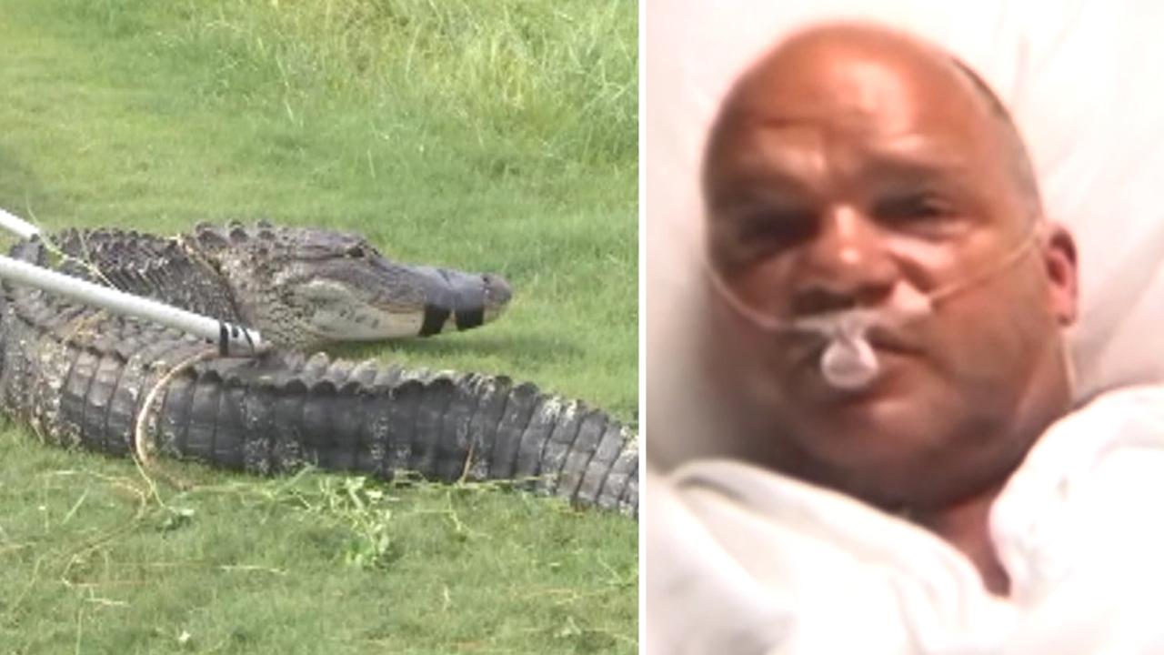 Golf ball diver recovers after alligator attack