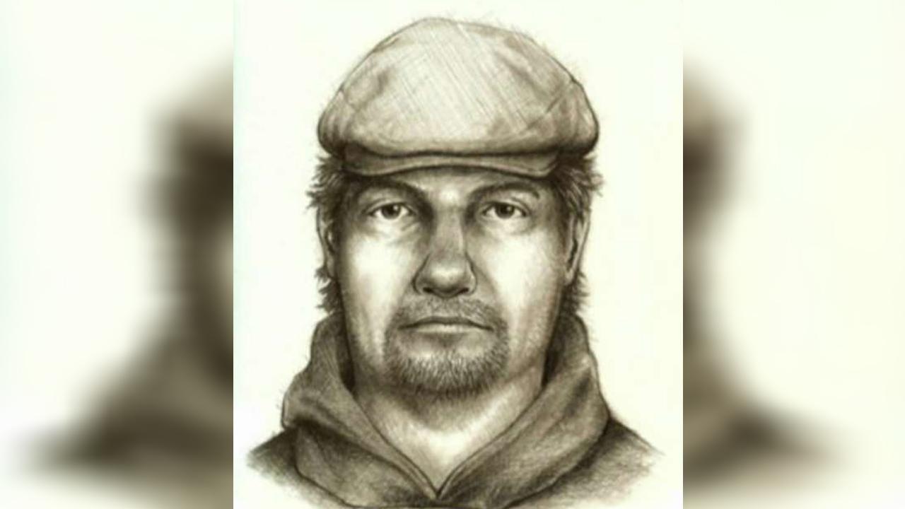 Police Release Sketch Of Suspect In Killings Of Two Teens Fox News Video