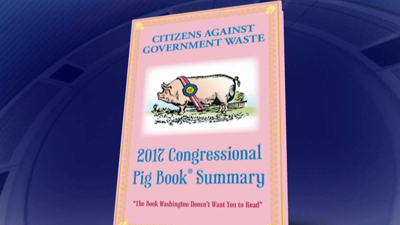 2017 congressional 'Pig Book' exposes nearly $7B in earmarks
