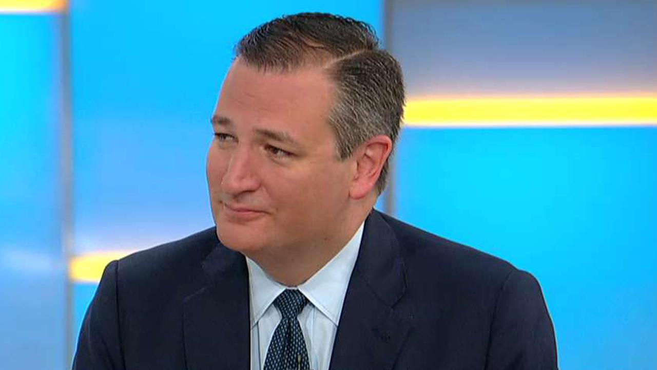 Sen. Ted Cruz details his ideas for health care reform
