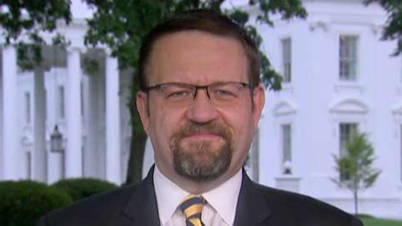 Dr. Gorka on 'collusion delusion': We have nothing to hide