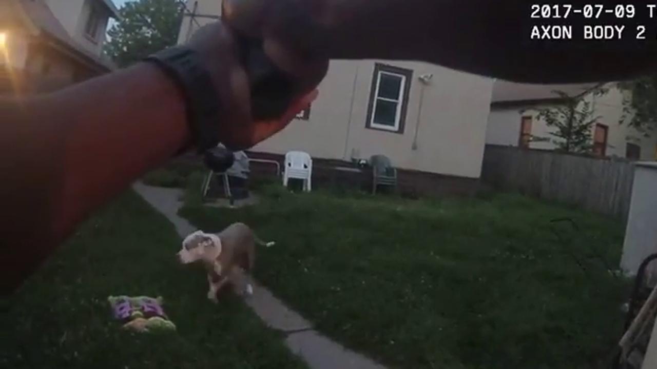 Warning, graphic video: Cop shoots service dogs