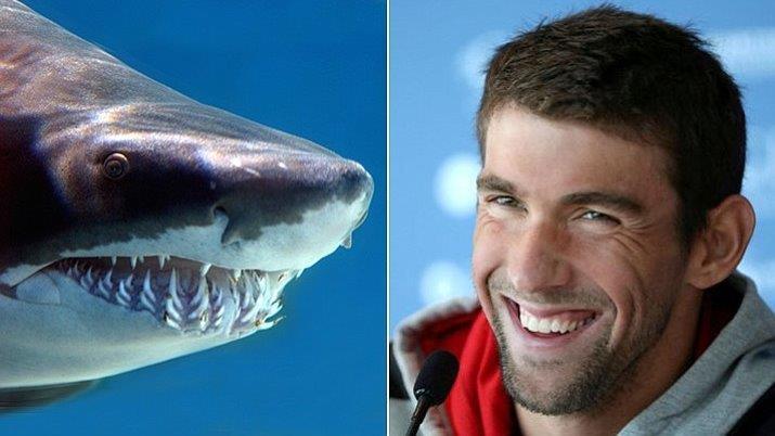Viewers angry, feel misled after Phelps vs. 'shark' race 