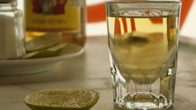 'The Fox News Specialists' celebrate National Tequila Day