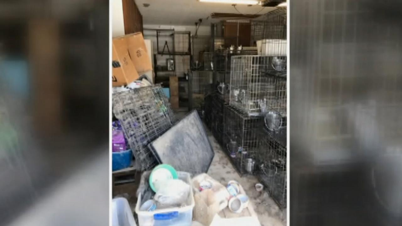 Over 100 animals rescued from inhumane living conditions