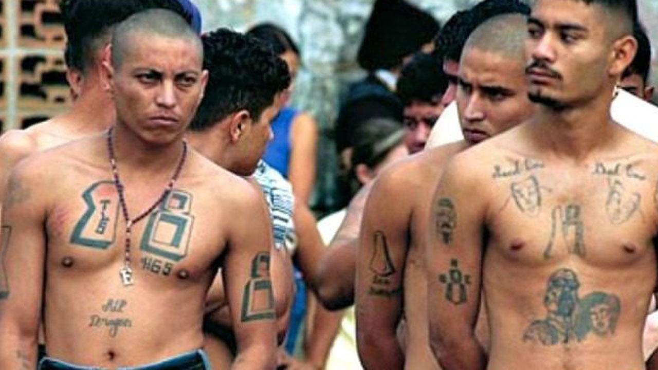 Is immigration crackdown the wrong strategy for MS-13?