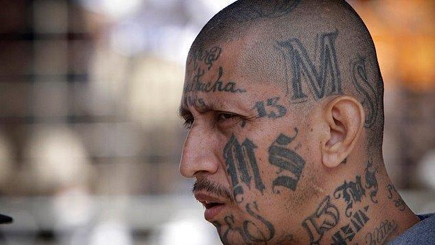 'Hunting MS-13': What we learned