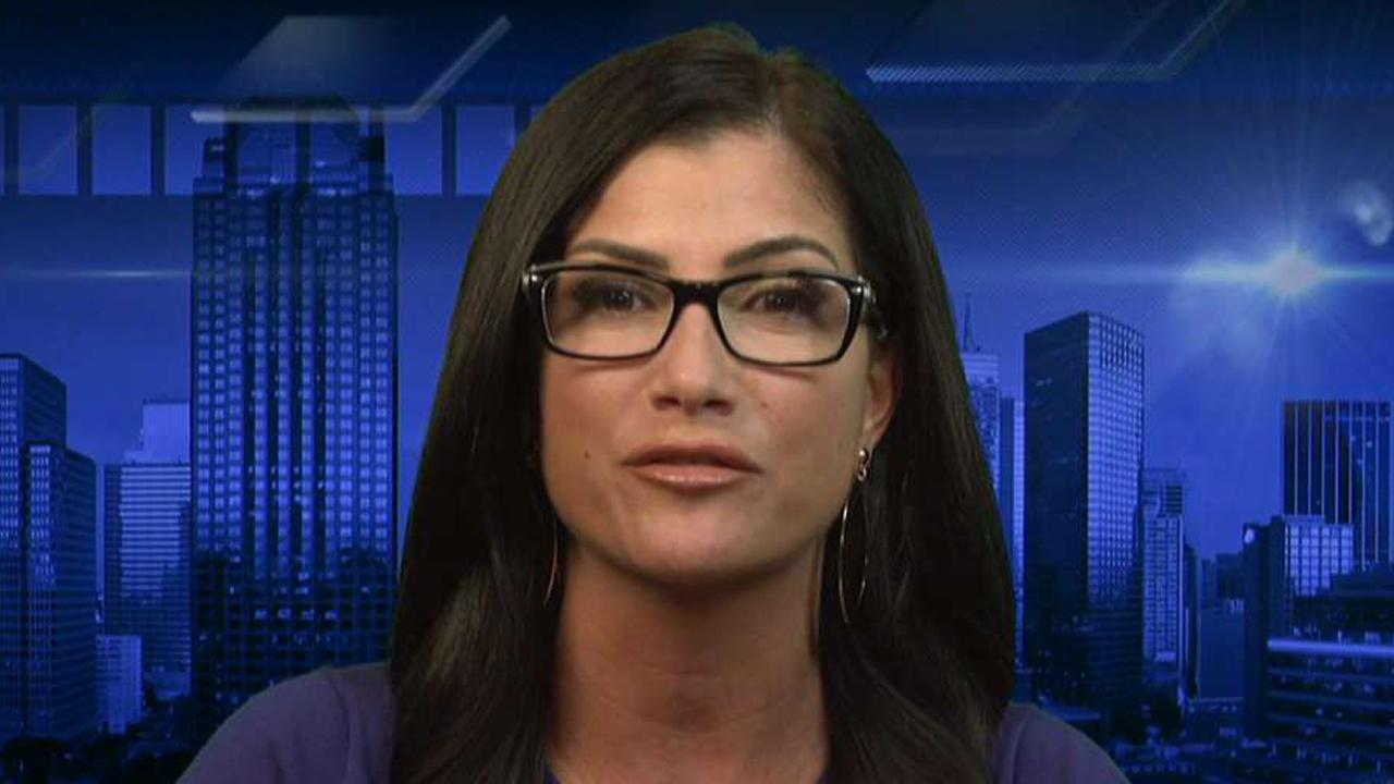 Dana Loesch: The Democratic Party is a party in crisis