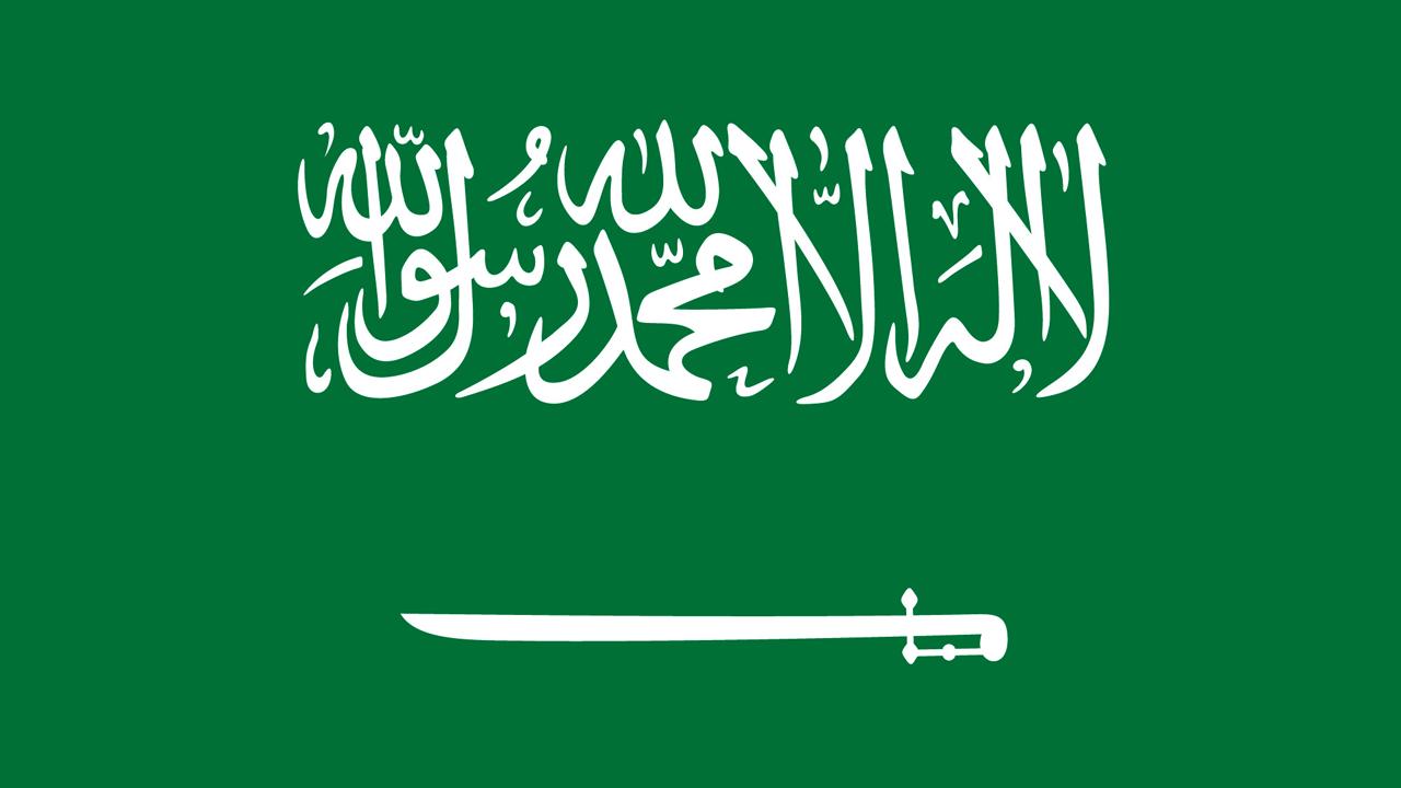 Swamp Watch: Saudi Arabia 