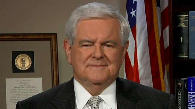 Gingrich: Elite media, left-wing Dems represent a big lie