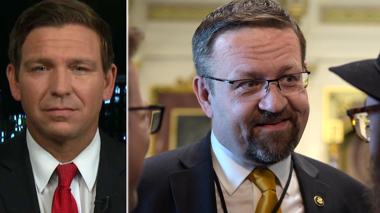 Rep. Ron DeSantis on why Gorka's resignation is 'concerning'