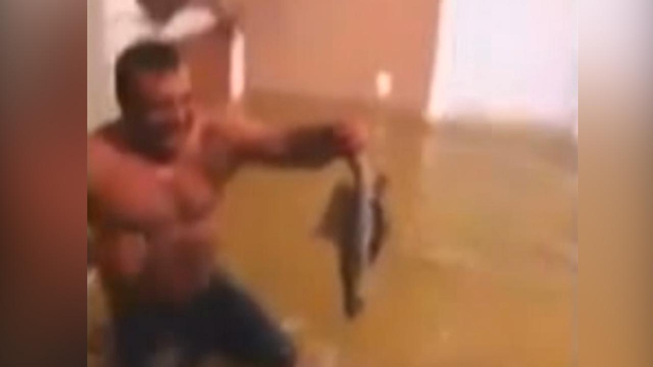 Houston man catches fish that made its way into flooded home