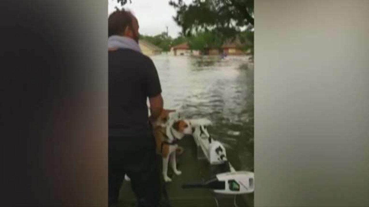 Local Texas resident rescues dozens with boat