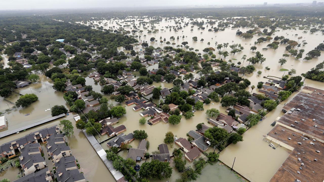 Professor suggests Harvey is karma for supporting for Trump