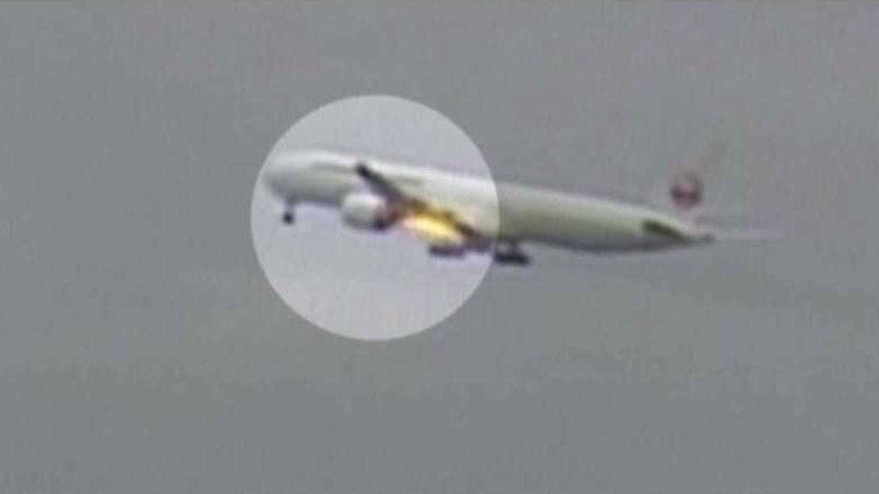 Jetliner makes emergency landing after bird strike