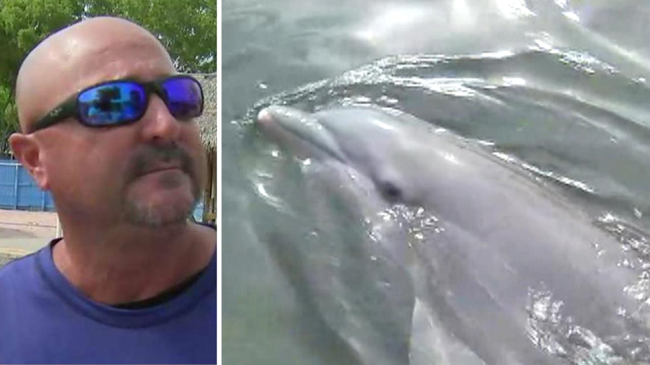 Key Largo crew stays behind during Irma to care for dolphins