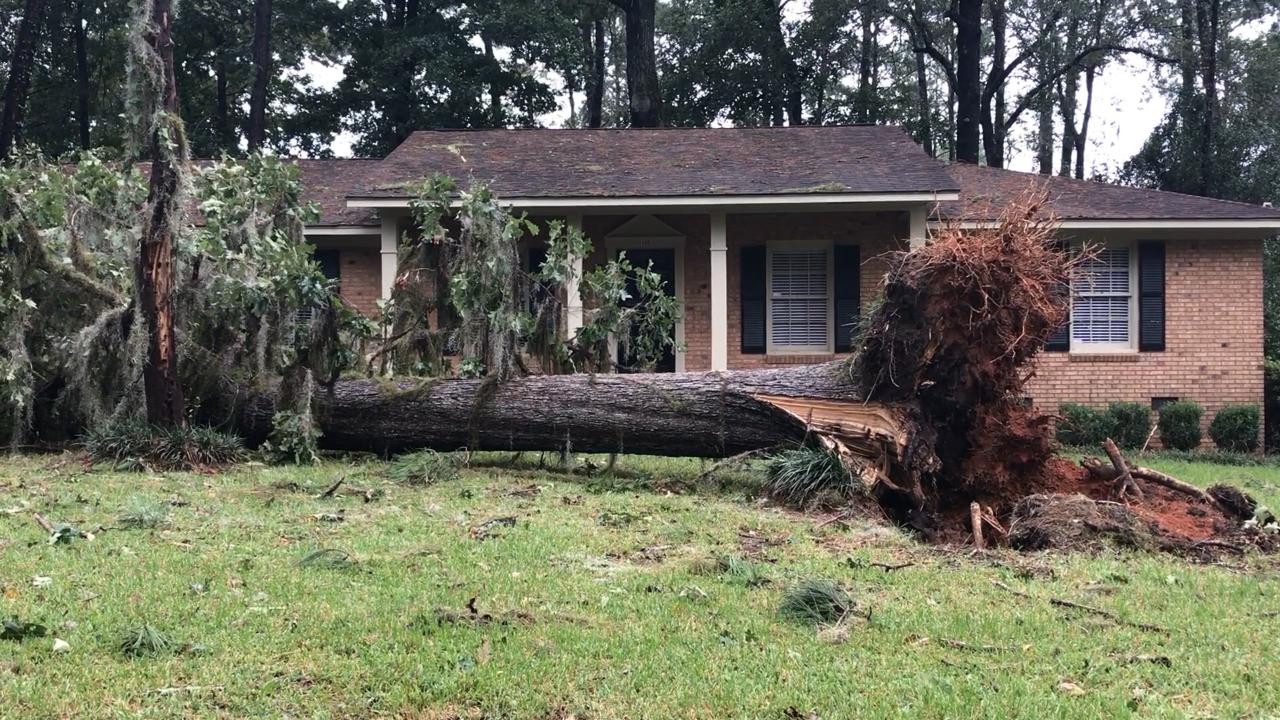 Over 1 million Georgians go without power in Irma aftermath