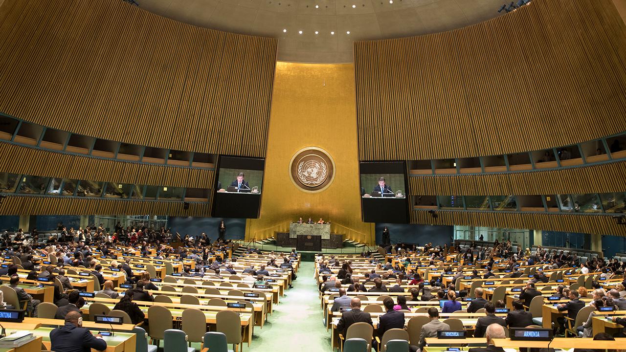 Swamp Watch: The United Nations