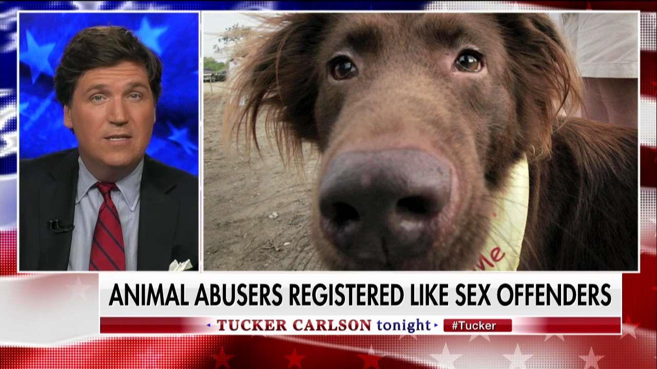 Tucker Animal Abusers Should Register w Sex Offenders