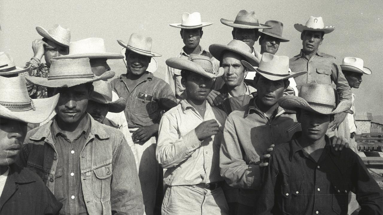 Immigrant worker program studied 75 years later