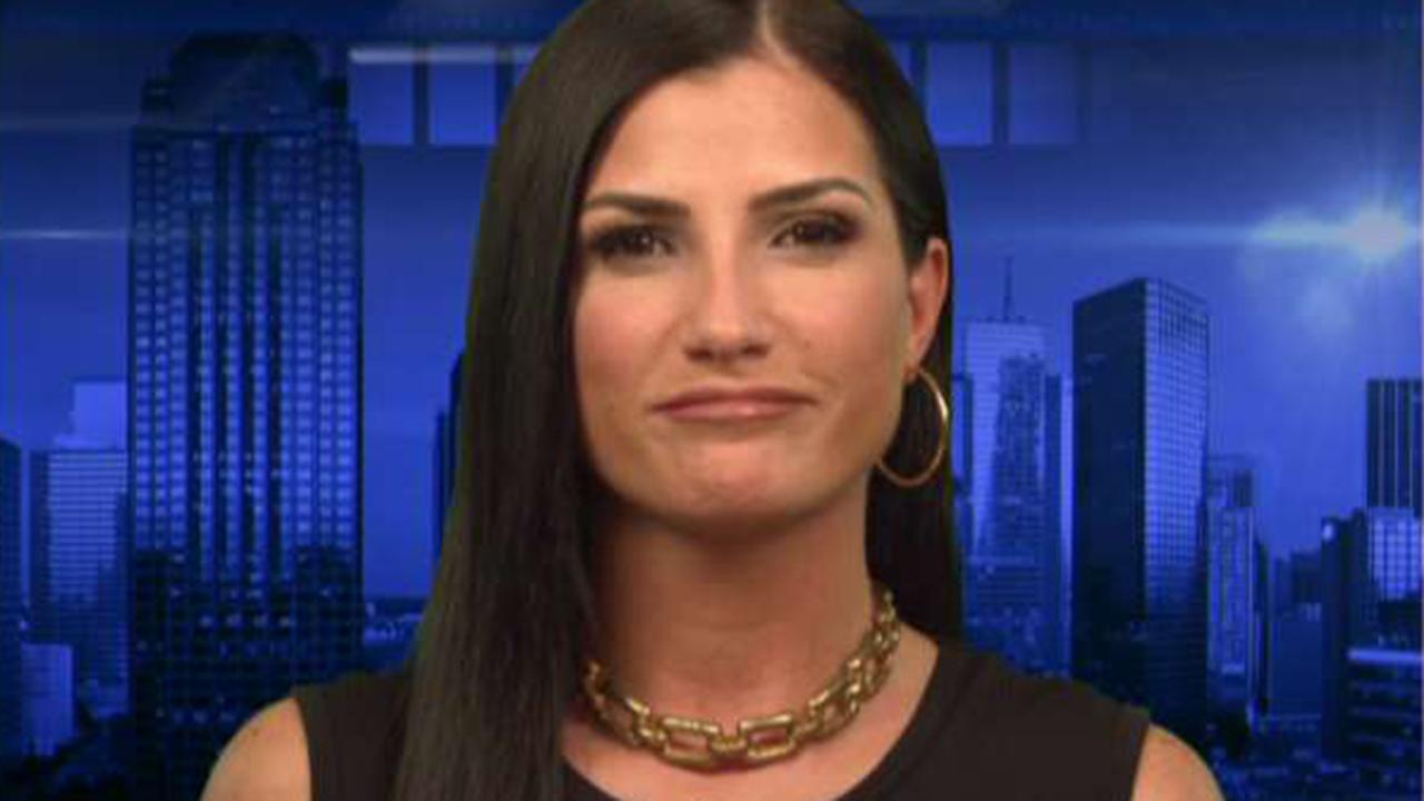 Dana Loesch weighs in on gun control debate Fox News Video
