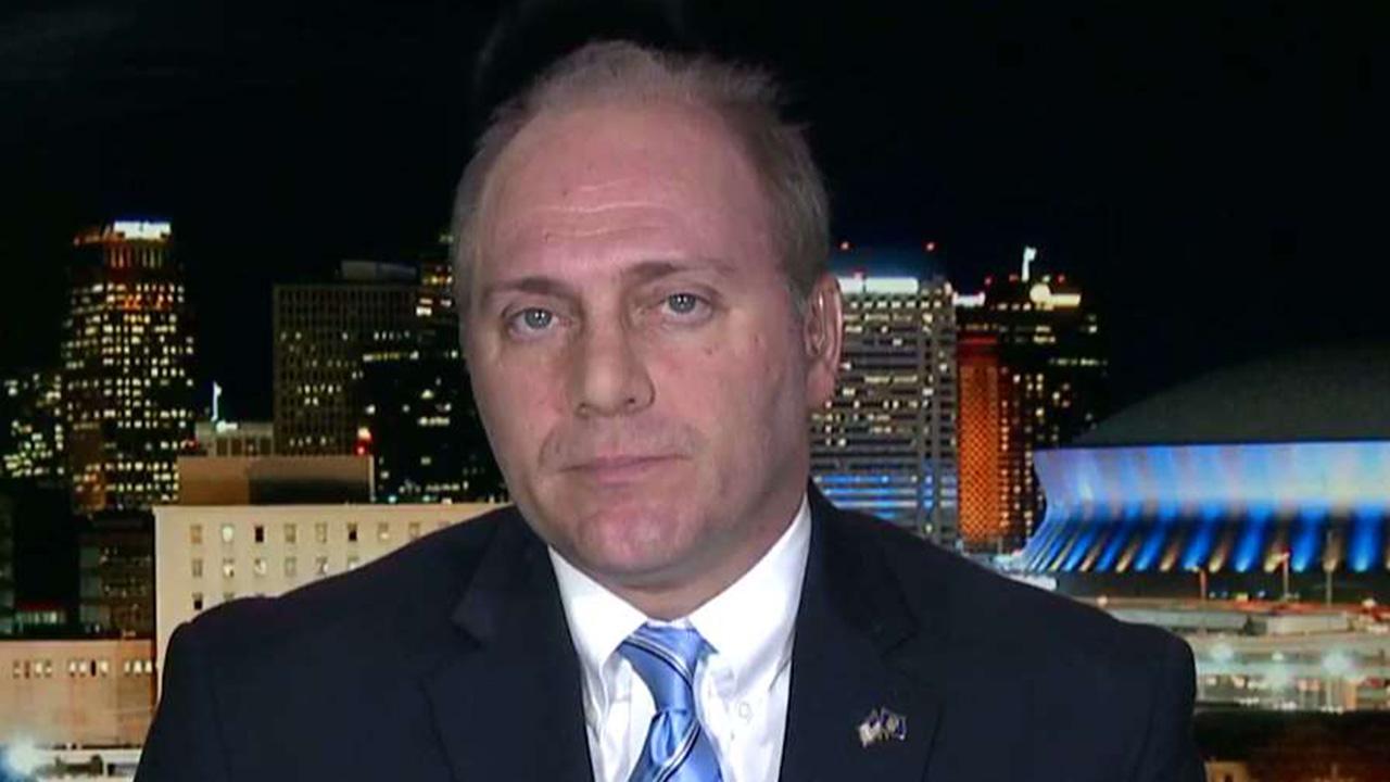 Scalise on recovering from shooting, gun control debate