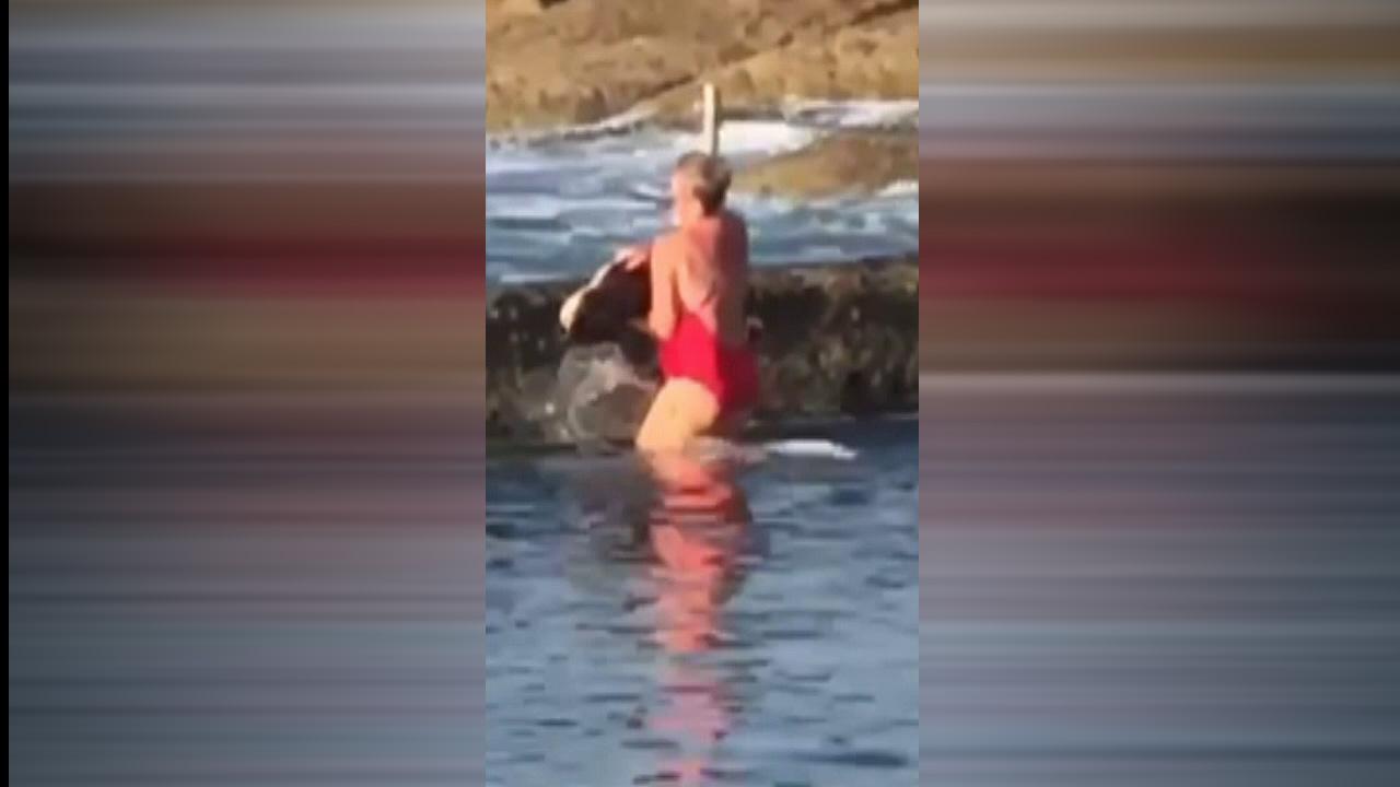 Australian woman wrangles shark with bare hands