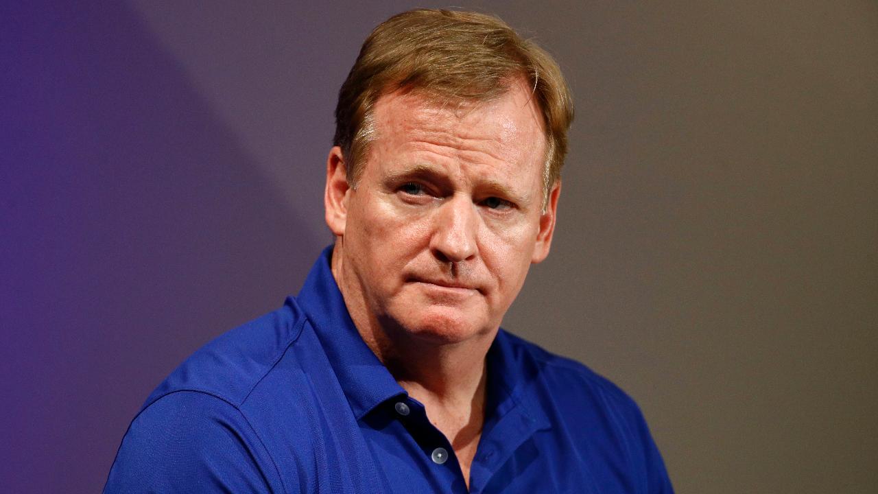 Goodell's wife used secret Twitter account to defend husband