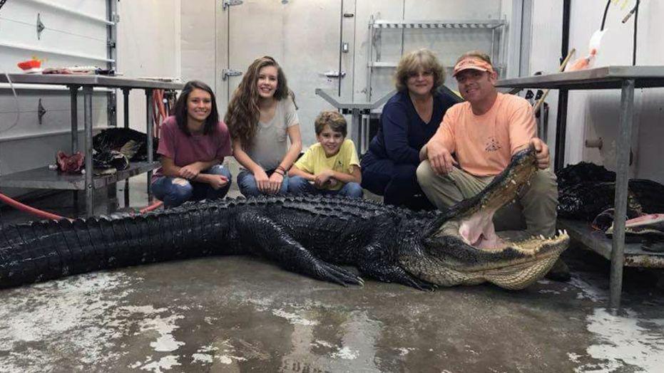 South Carolina grandmother bags 12-foot gator