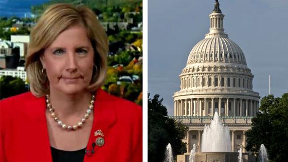 GOP congresswoman on why she voted against House budget