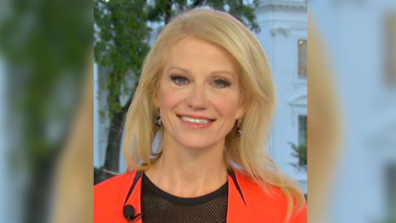 Conway: Focus should be on coordination between Dems, Russia