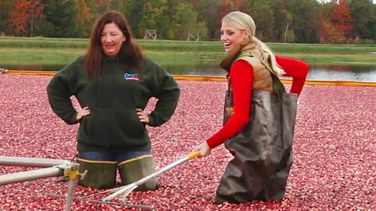 Cranberry Confidential: Meet the farmers behind a holiday food favorite