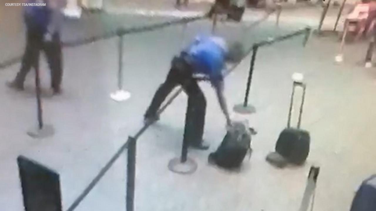 TSA officer heroically grabs smoking bag from line