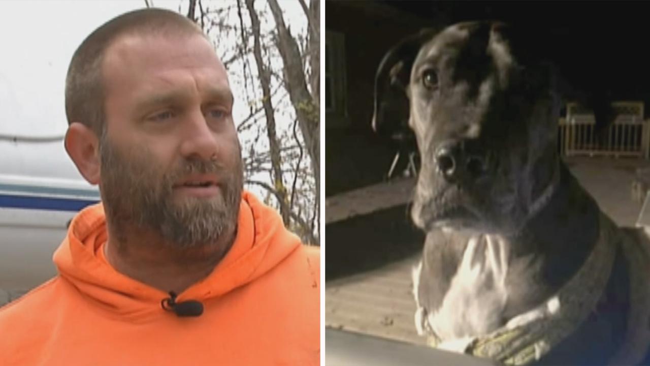 Armed homeowner's Great Dane helps subdue intruder