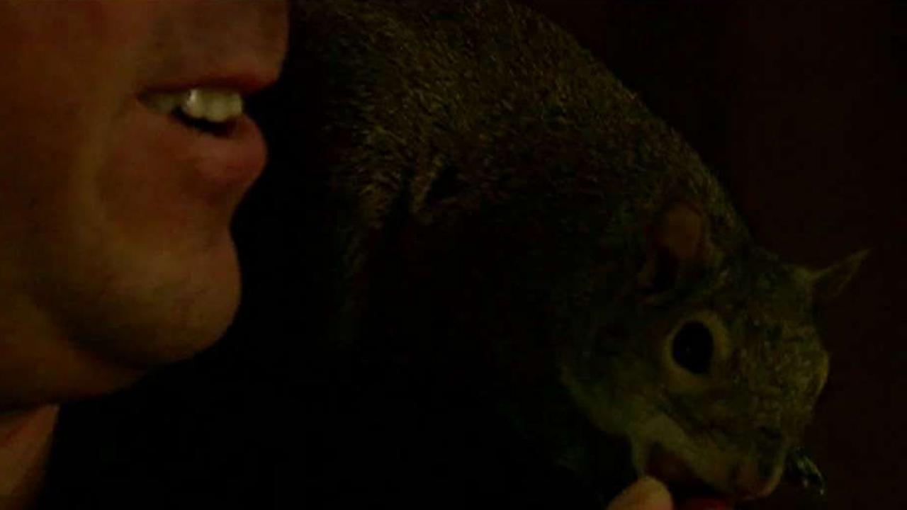 Man speaks out on fight to keep 'emotional support squirrel'