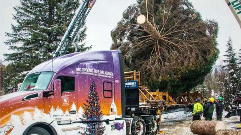 Trucker who drove Capitol Christmas tree to DC speaks out