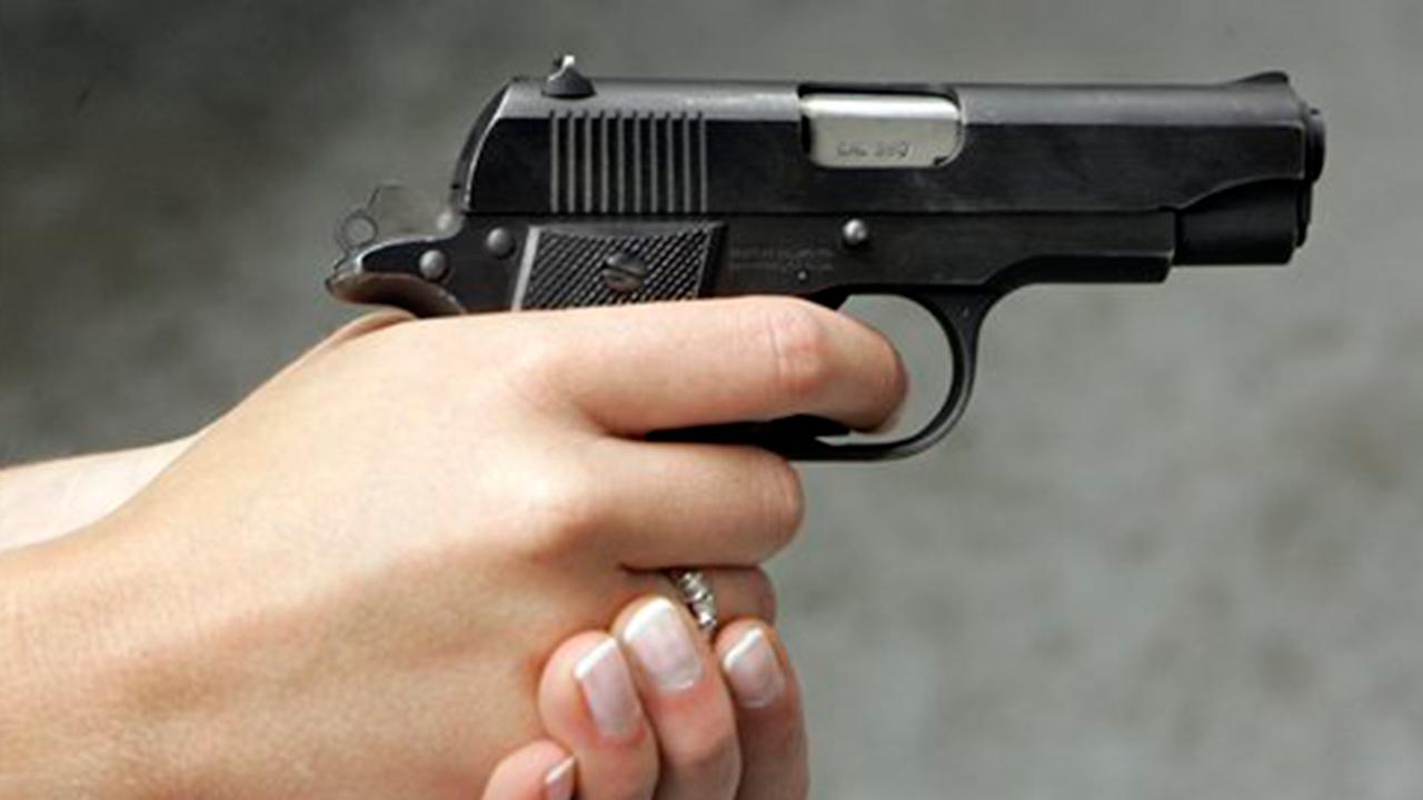 Judiciary Committee takes up two gun bills
