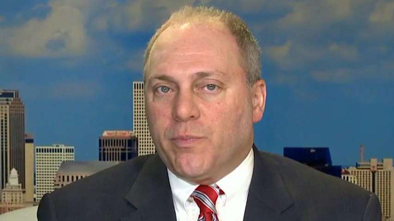 Rep. Scalise on tax reform items House wants to deliver