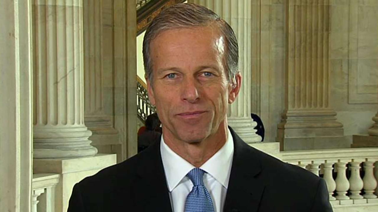 Sen. Thune on tax reform fears: Critics missing the obvious