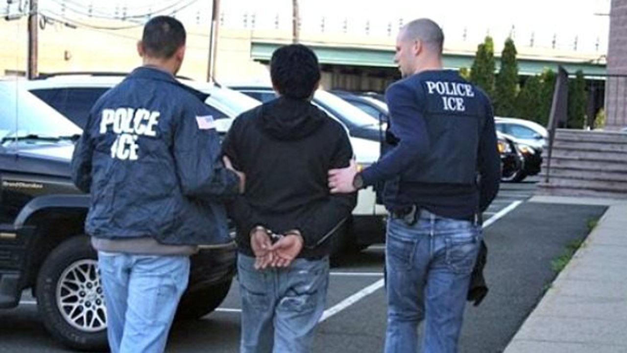 ICE raids 101: Training programs documenting activities grow