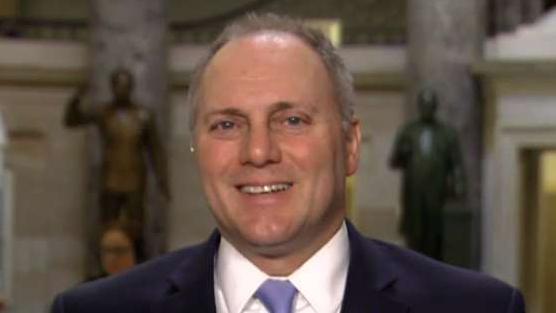 Scalise: The economy will take off with tax reform