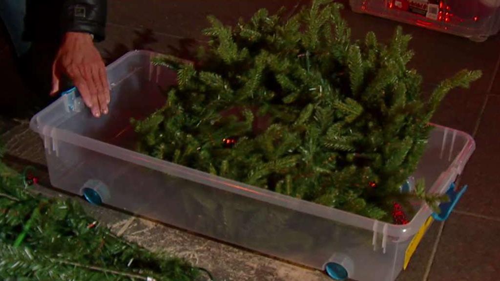How to properly dispose a Christmas tree after the holidays