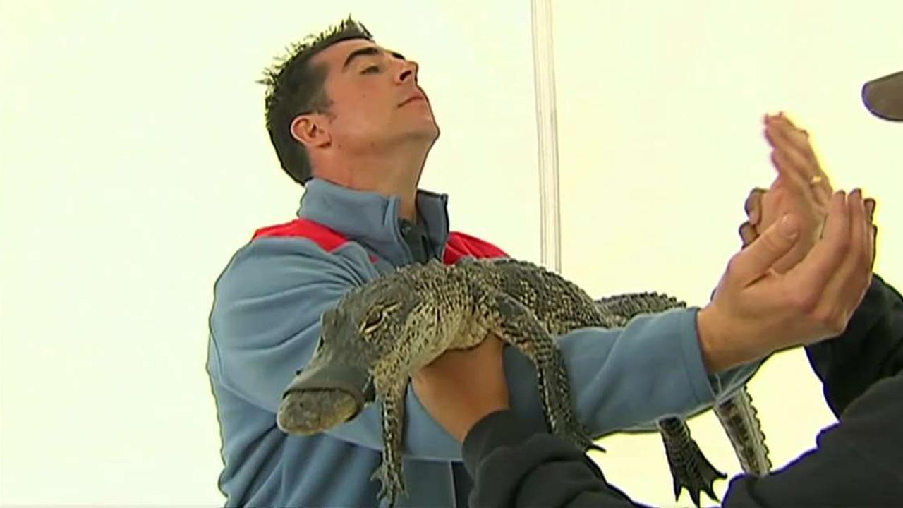 The best of Jesse Watters' close encounters with animals