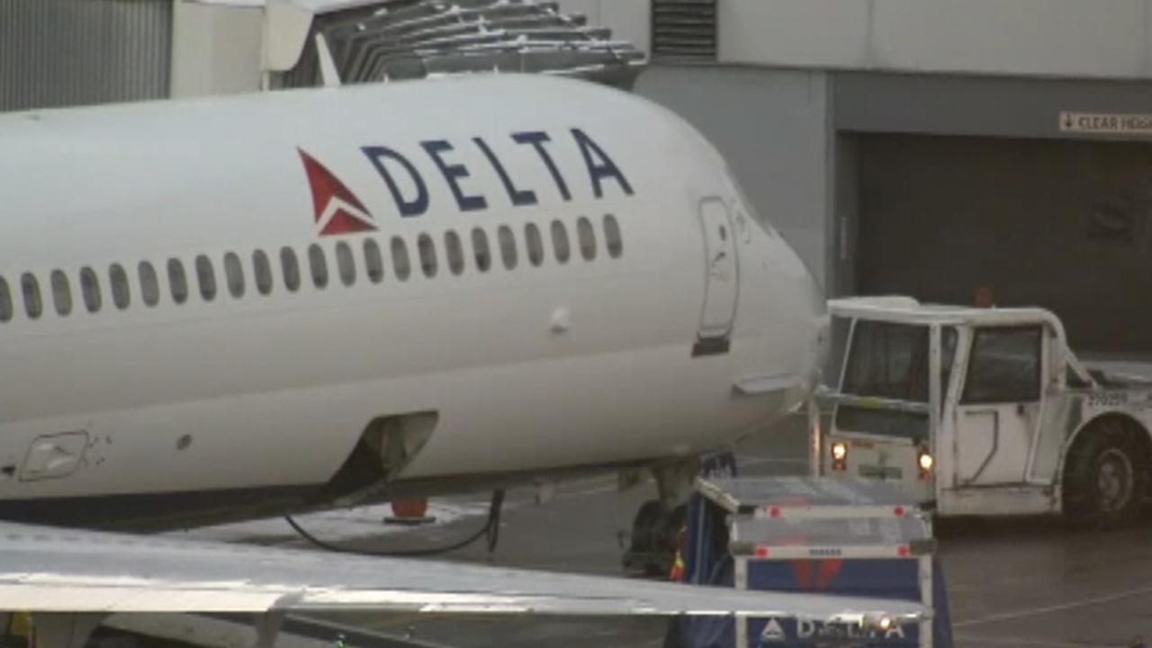 Delta flight delayed after bird flies into cockpit