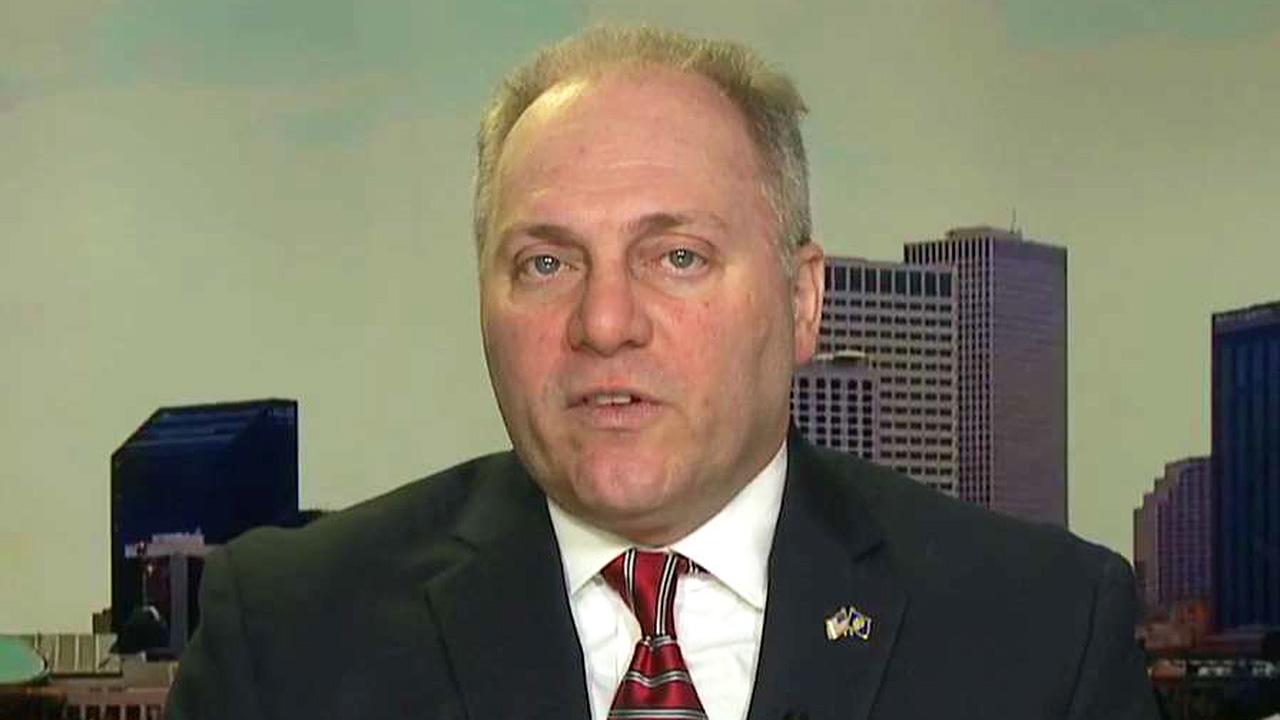 Rep. Scalise questions Democrats' sincerity on immigration