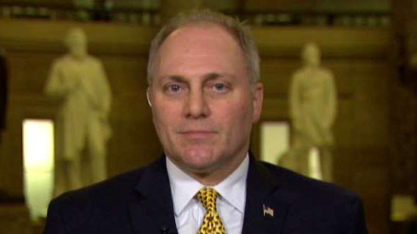 Scalise: Allegations in Wolff book are 'rooted in ignorance'