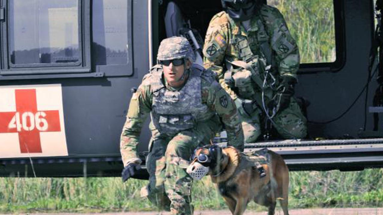 Special Operations dogs get tactical gear upgrade